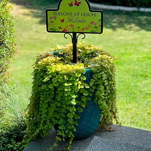 Seasons At Leschi Hillsides Apartment Seattle
